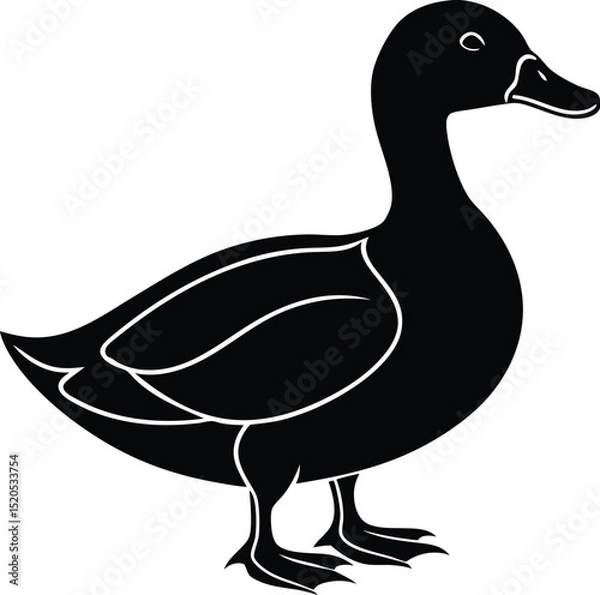 Obraz duck on a white background
