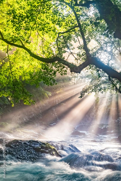 Obraz 熊本・菊池渓谷の光芒