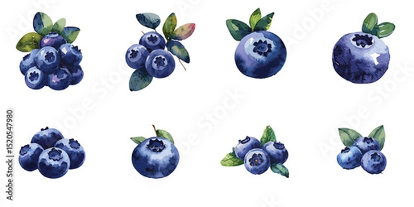 Obraz Multiple vector illustrations blueberry, watercolor style