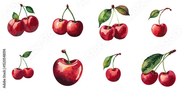 Obraz Multiple vector illustration cherries, watercolor style