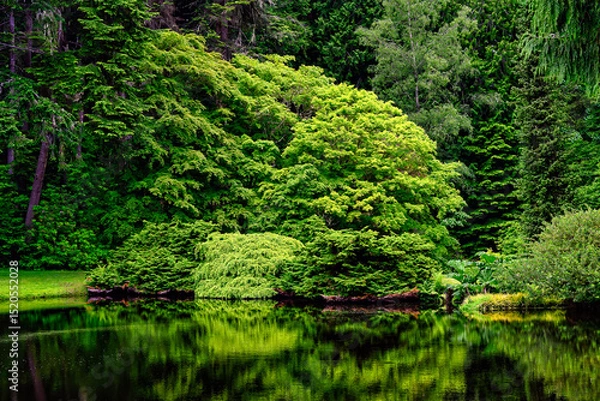 Fototapeta 2025-06-04 OUTDOOR SCENE WITH BRIGHT GREEN FOLIAGE AND TREES NEXT TO A LAKE WITH A NICE REFLECTION IN THE WATER IN THE PACIFIC NORTHWEST