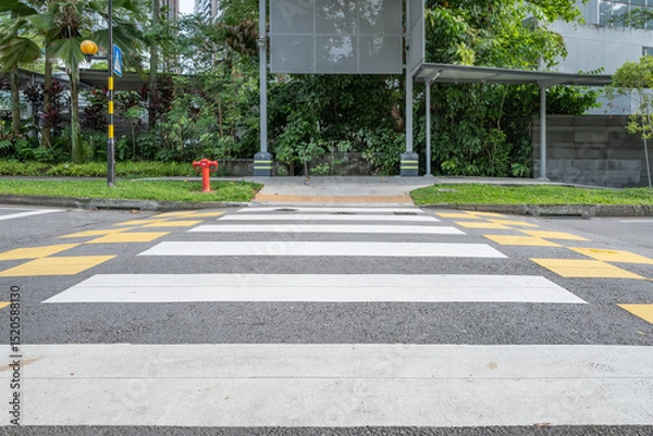 Fototapeta Zebra crossing on Orchard Road with lush greenery and urban backdrop