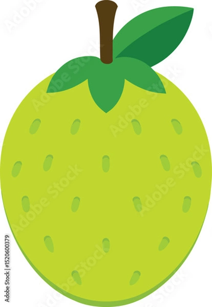 Obraz breadfruit  vector on white background  .eps