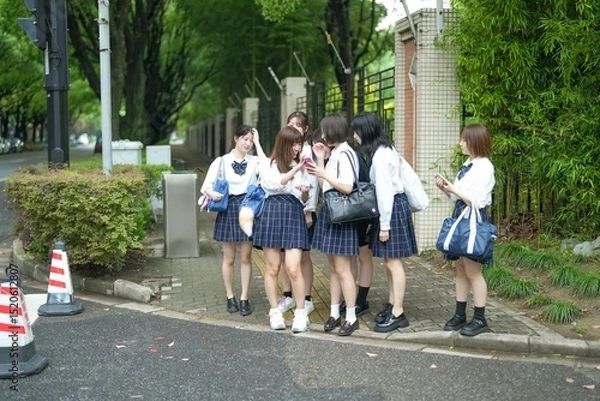 Fototapeta In early summer in Pudong, Shanghai, seven Japanese high school girls in summer uniforms are walking along a city street. They pause together, smiling as they look at something on a smartphone.