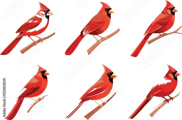 Obraz Red northern cardinals bird on branches