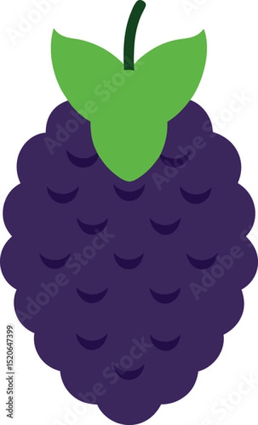 Fototapeta mulberry  vector icon on white background  .eps