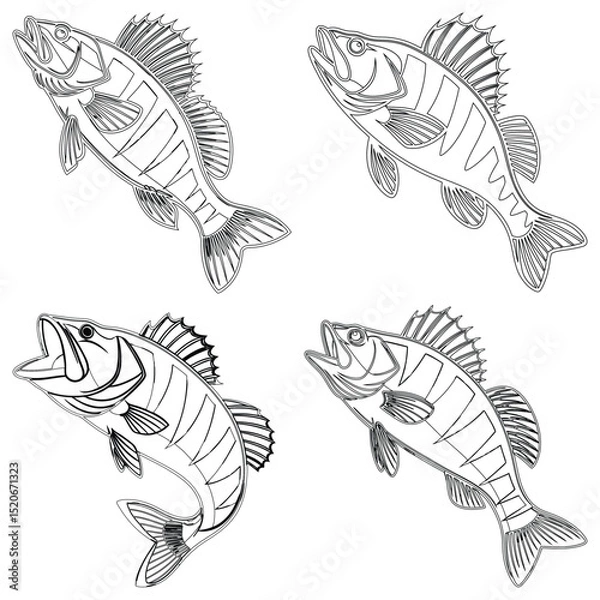 Fototapeta Tench fish set line art and illustrator eps 10