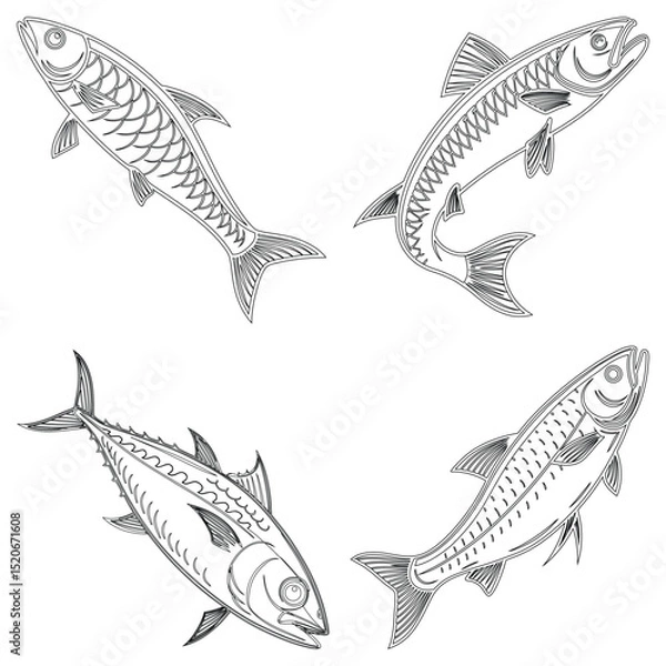 Fototapeta Mackerel set line art and illustrator eps 10