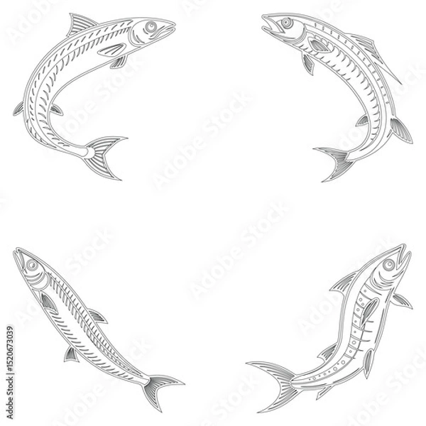 Fototapeta Anchovy fish set line art and isolated on white background illustrator eps  10
