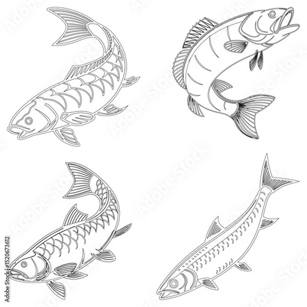 Fototapeta Roach fish set line art and isolated on white background illustrator eps  10