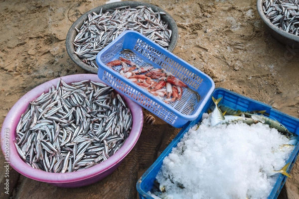 Fototapeta catch of fresh sea fish and squid in baskets at the seafood market in Vietnam in Asia