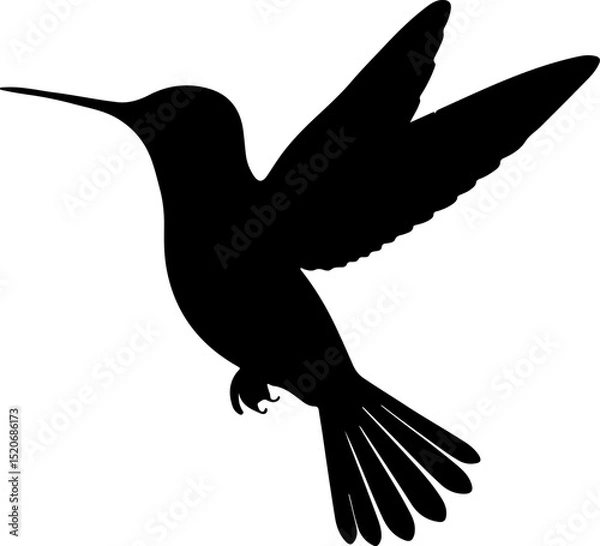 Fototapeta  Dynamic Hummingbird Silhouette in Flight: A Graceful and Energetic Depiction of Nature's Tiny, Swift Avian Jewel.