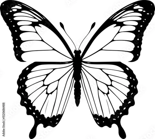 Fototapeta  Intricate Butterfly Outline with Detailed Wing Patterns: A Symbol of Delicate Beauty, Transformation, and Nature's Artistry.