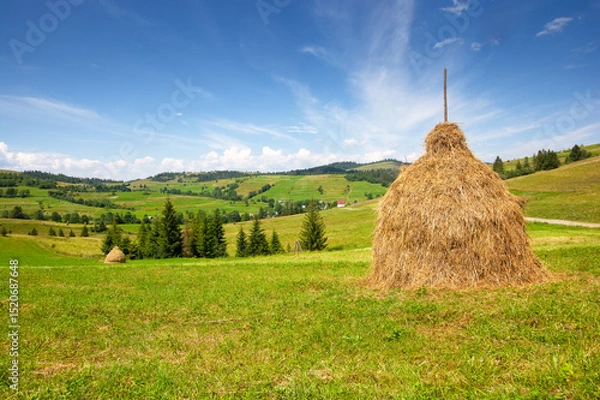 Fototapeta rural mountain landscape in summer. haystack on green hill near village. alpine scenery at the foot of borzhava ridge of ukraine in afternoon light