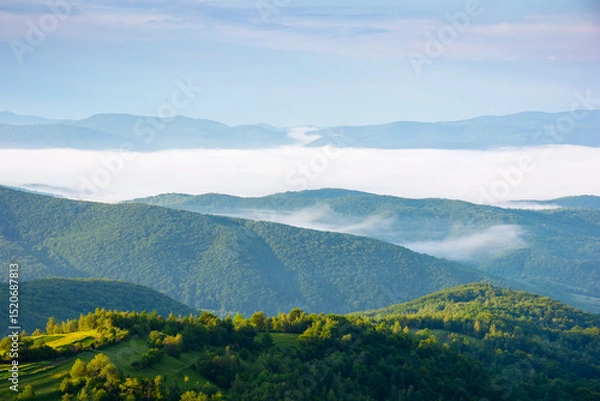 Fototapeta mountainous countryside landscape with fog in the distant valley. mist rolling among hills in morning light. stunning view of carpathians in summer. clouds on the blue sky. alpine ukraine