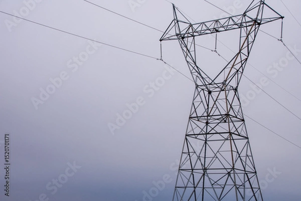 Obraz Powerlines against a grey sky