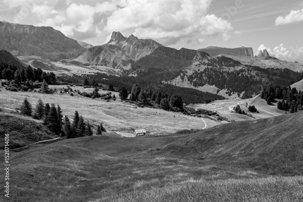 Fototapeta The wide meadows on the northern side of Sciliar mount in the Dolomites