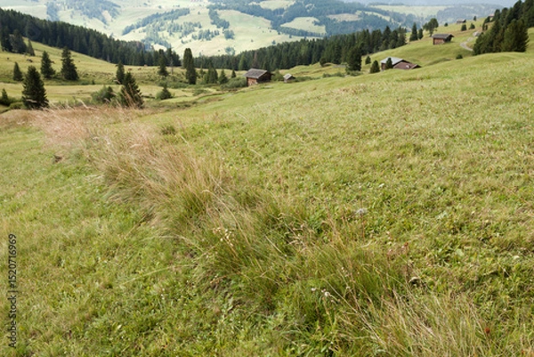 Obraz small house over a mountain pasture in Dolomites with wonderful panorama