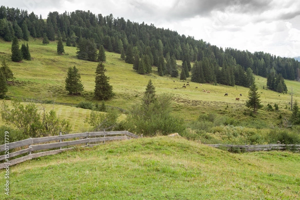 Obraz small house over a mountain pasture in Dolomites with wonderful panorama