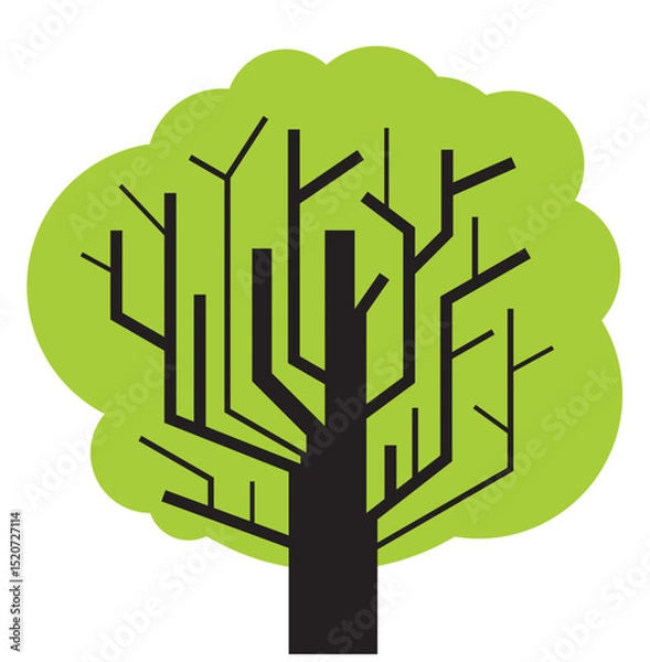 Fototapeta Baum050625a