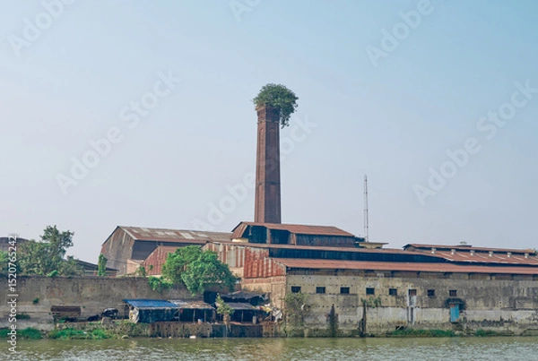 Fototapeta Vegetation sprouts from the chimney of an abandoned jute mill on the banks of the Hooghly river  in Calcutta, India