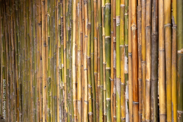 Fototapeta Close-up background of old bamboo fence.