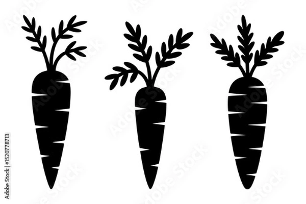 Fototapeta Three carrots with leaves in black and white style