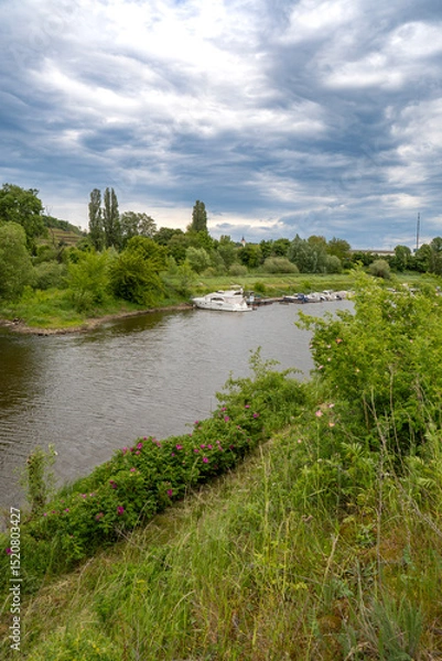 Fototapeta Der Hafen von Meißen in Sachsen