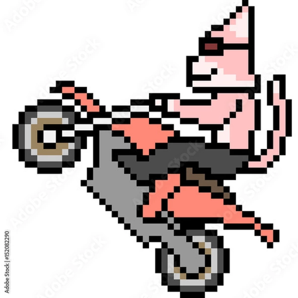 Fototapeta vector pixel art biker cat