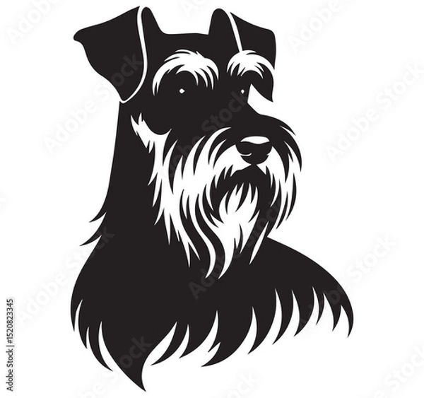 Obraz Schnauzer dog head portrait silhouette black and white vector illustration logo icon design element