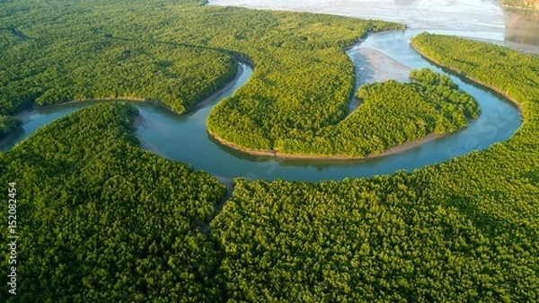 Obraz Aerial Mangrove Forest View
