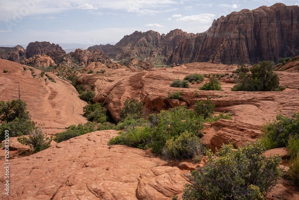Obraz View of red rocks in Snow Canyon National Park, Petrified Dunes Trail, St. George, Utah. USA.	