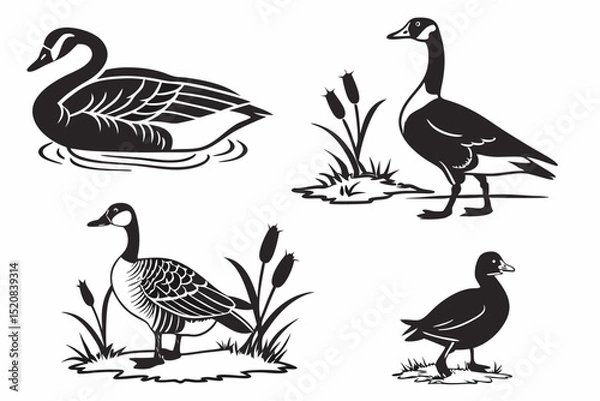 Fototapeta set of geese