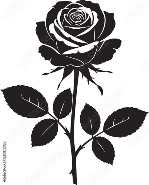 Obraz Rose Flower Silhouette Vector Illustration