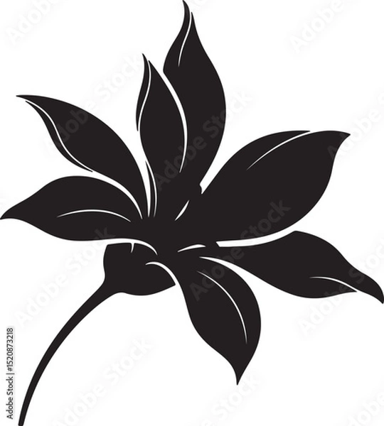 Obraz Flower Silhouette Vector Illustration