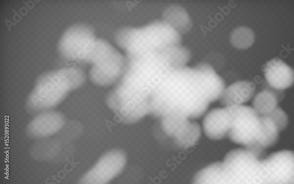 Fototapeta Abstract shadow overlay from foliage on a transparent background.