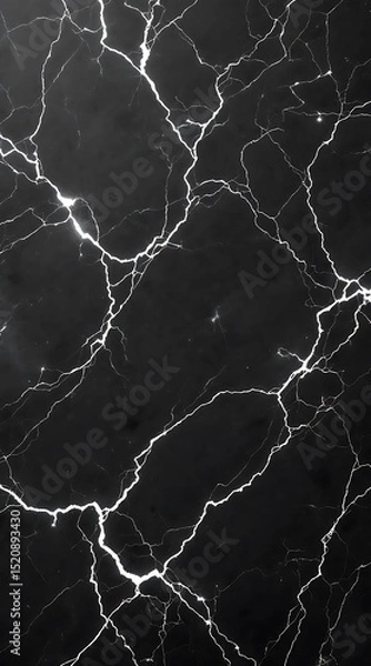 Obraz Abstract black marble texture with white veining