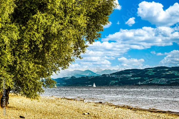 Obraz Kiselsteine am Ufer Bodensee