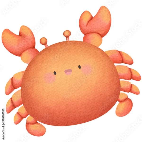 Obraz crab, ocean life