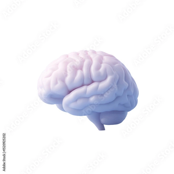 Fototapeta A detailed 3D illustration of a human brain showcasing its structure and folds.
