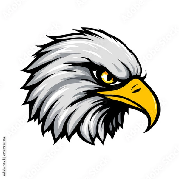 Fototapeta bald eagle vector illustration