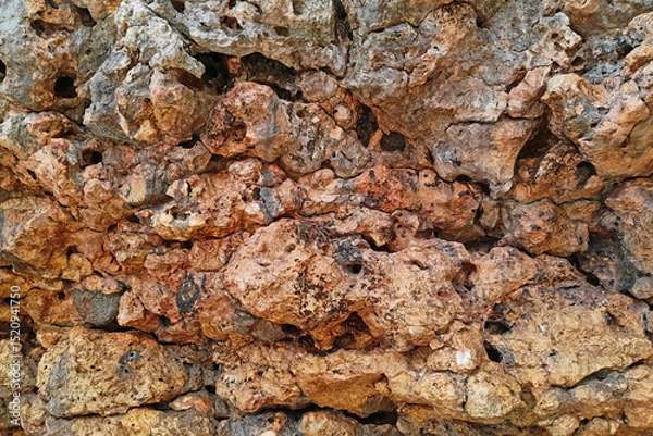 Obraz Dry Coral Rock Wall Texture from Tropical Coastline with Natural Holes