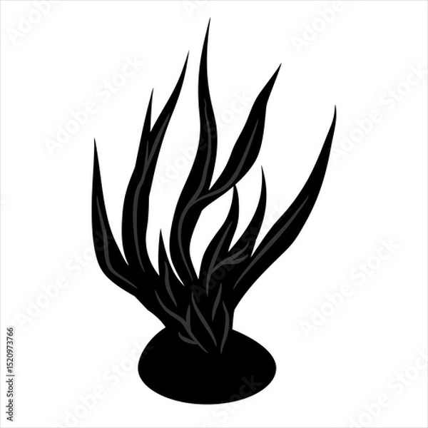 Obraz Vector Icon Green seaweed on mossy underwater rocks,
soaked in clear coastal seawater,
black silhouette illustration on white background
