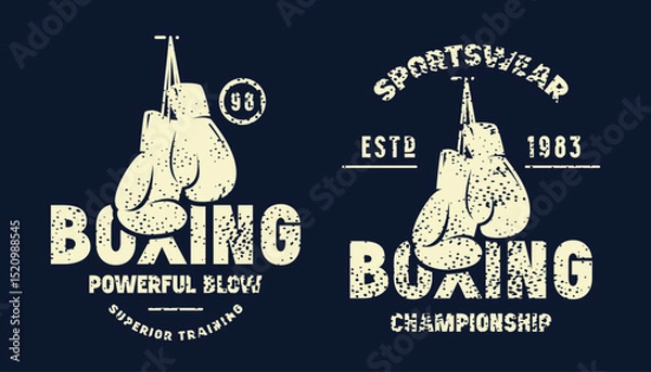 Obraz Boxing emblem for t-shirt. Graphic design with rough texture. Light print on black background