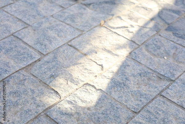 Obraz Sunlight Casting Shadow on Tiled Floor