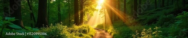Fototapeta Golden hour sunlight streams through lush green trees, illuminating a tranquil path winding through a vibrant forest Perfect for travel, nature, and adventure themes , hiking, summer, woods