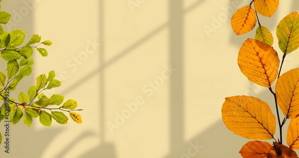 Obraz Image of leaves on branches over shadows on beige wall