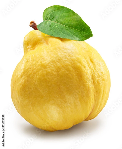 Fototapeta Quince with quince green leaf on white background. File contains clipping path.