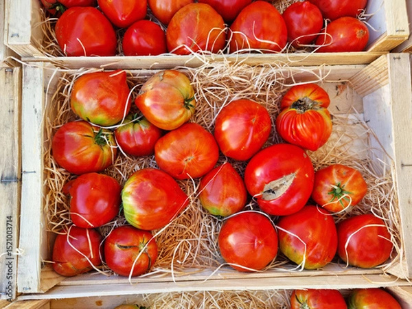 Fototapeta Red beefsteak tomato or beef tomato close up on the farm market stall. Food background.