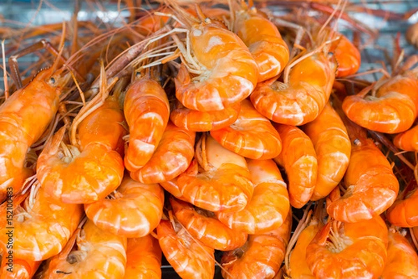 Obraz Grilled shrimps